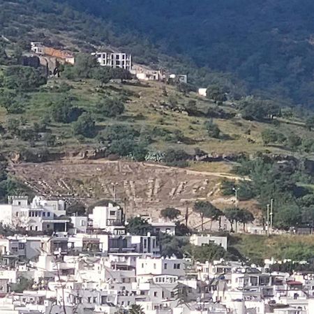 Emelce Apart Αλικαρνασσός Εξωτερικό φωτογραφία